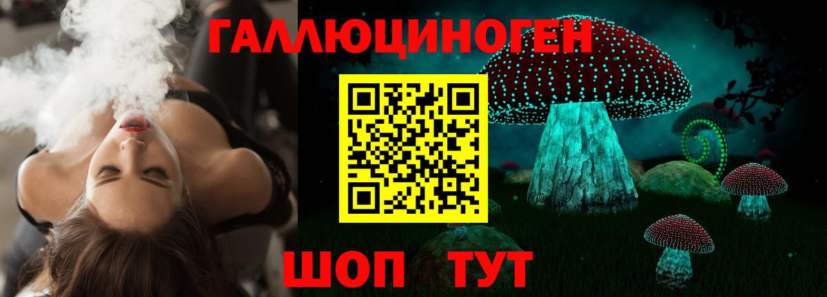 Галлюциногенные грибы GOLDEN TEACHER  Вход с VPN  Алексеевка 